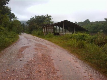 IMAG_2241 (Small)_0.jpg