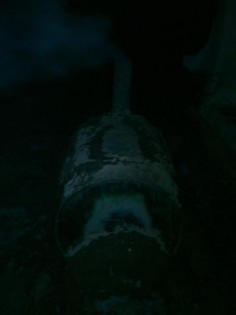 IMAG_2380 (Small).jpg