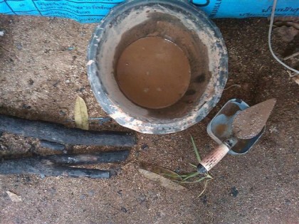 IMAG_2390 (Small).jpg