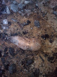 IMAG_2412 (Small).jpg