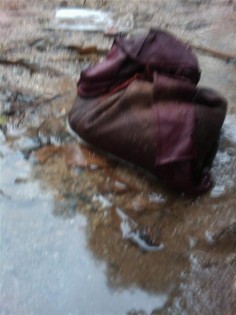 IMAG_2421 (Small)_0.jpg