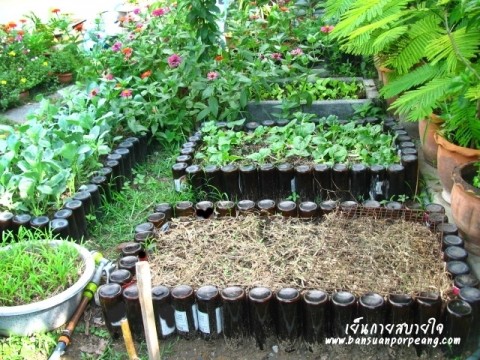 สวนครัว