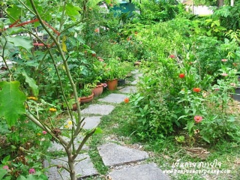 ทางเดินในสวน