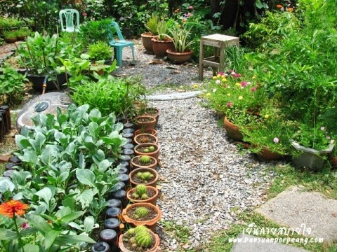 ทางเดินในสวน