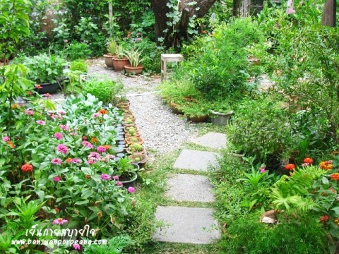 สวนครัว