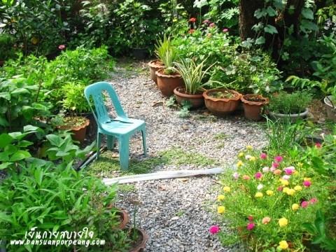 สวนครัว