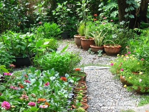 สวนครัว