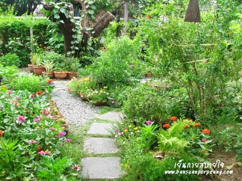 สวนครัว