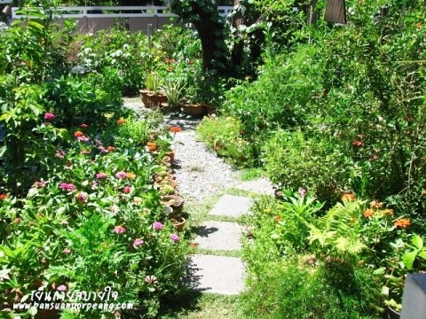 สวนครัว