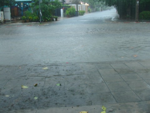 น้ำท่วม