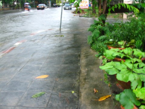 น้ำท่วม