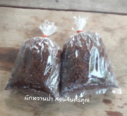 ผักหวานป่า 