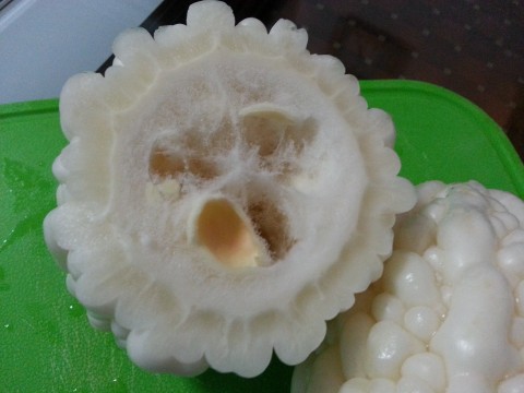 มะระไต้หวัน