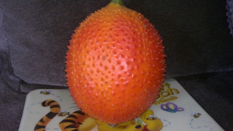 ฟักข้าว