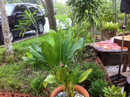 บรรยากาศในร้าน