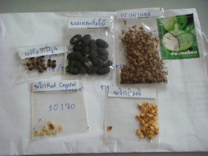 เมล็ดพันธุ์อย่างดี