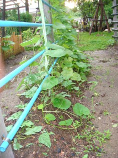 การบ้าน