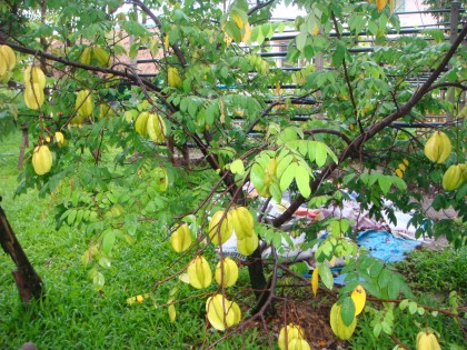 การบ้าน