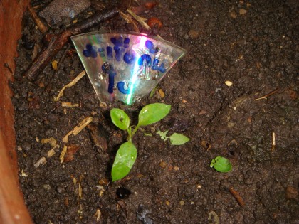 การบ้าน