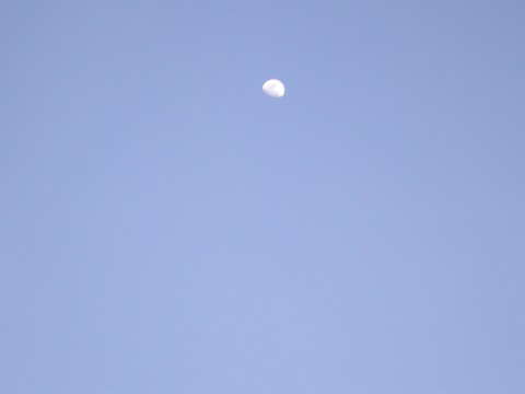 Moon