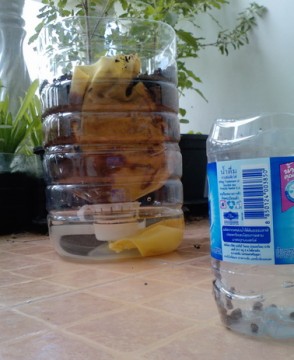 เติมน้ำ